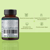 Nutra Nourished Australian Moringa Capsules 60 Pack