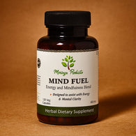 Mind Fuel