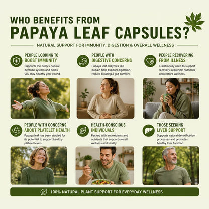 Papaya Leaf Capsules 140g