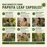 Papaya Leaf Capsules 140g