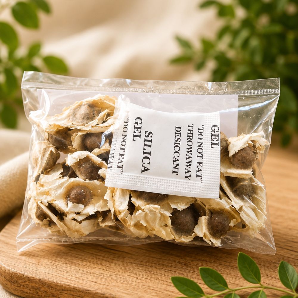 Moringa Seeds